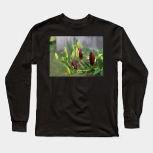 Multicolored Flower Buds 2 Long Sleeve T-Shirt